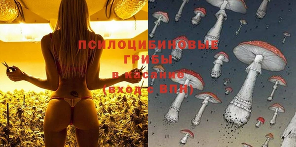 кокс Абаза