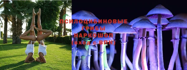 кокс Абаза