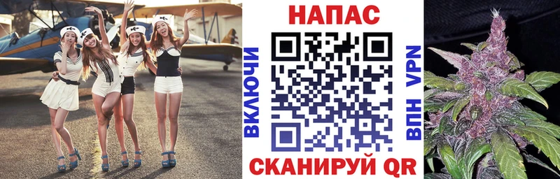 блэк спрут tor Партизанск Бошки марихуана гибрид